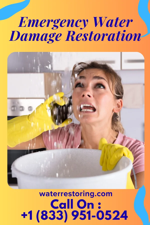 Emergency Water Damage Restoration in Walterhill, TN