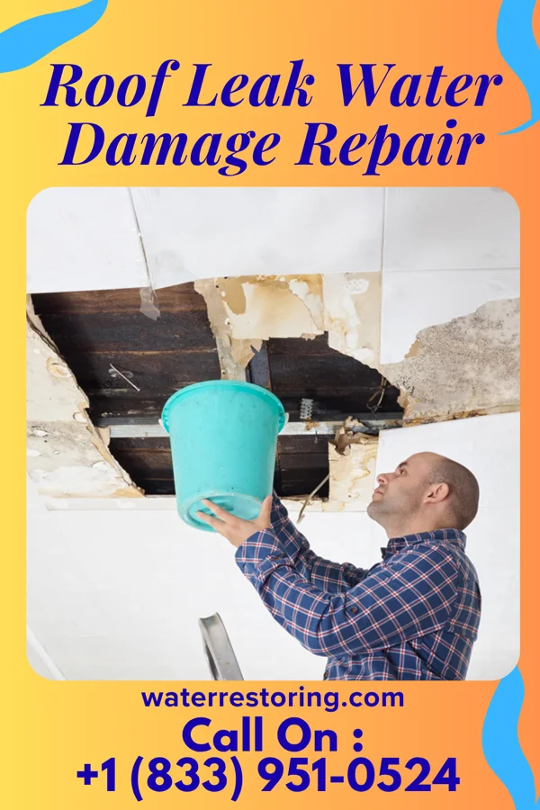 Roof Leak Water Damage Repair in Walterhill, TN